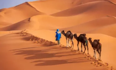 Tour Morocco