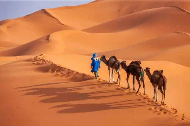 Tour Morocco